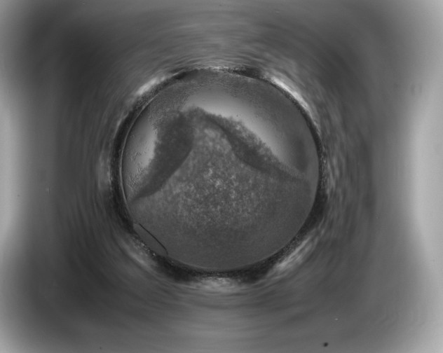 X0000087050203200704181244