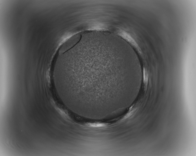X0000087050204200704181244