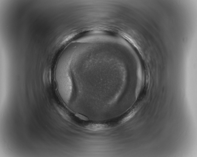 X0000087050205200704181244