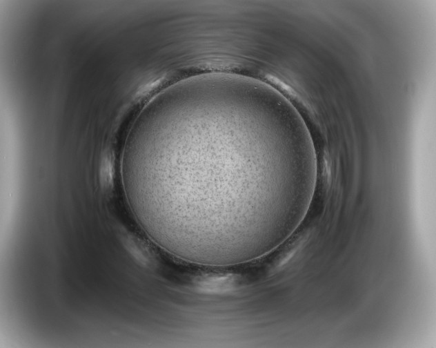 X0000087050206200704181244