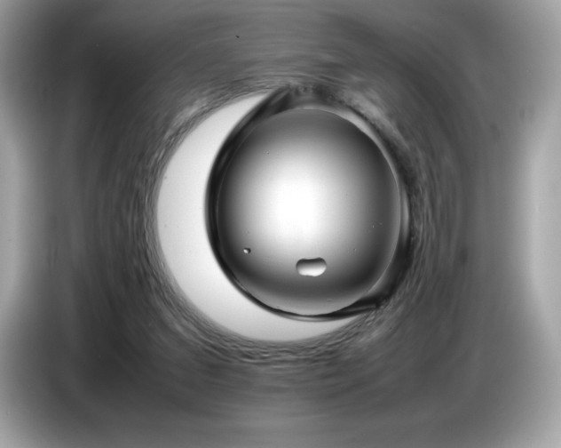 X0000087050207200704181244