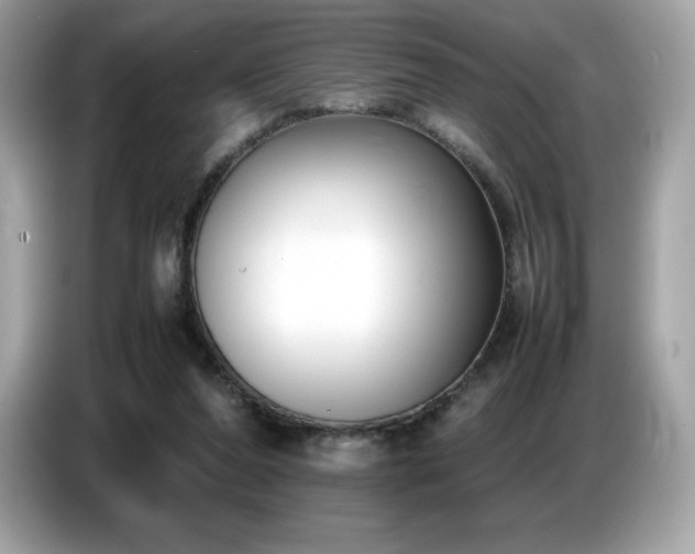 X0000087050208200704181244