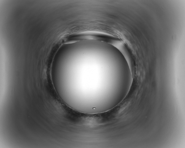 X0000087050209200704181244