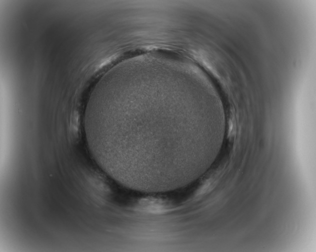 X0000087050211200704181244