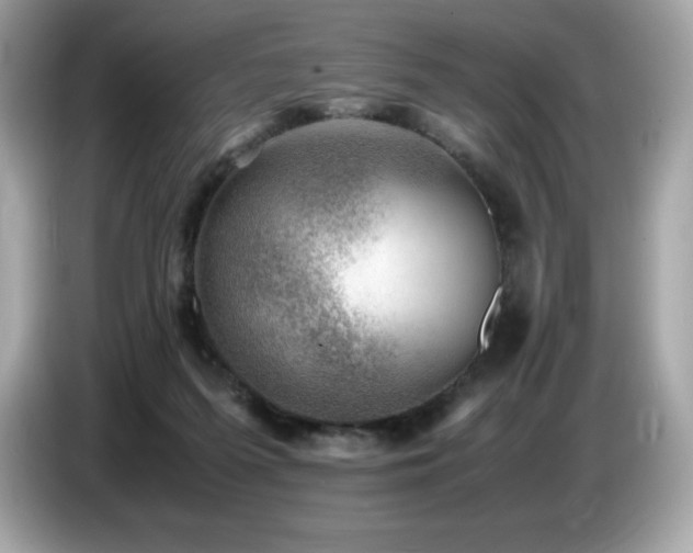 X0000087050215200704181244
