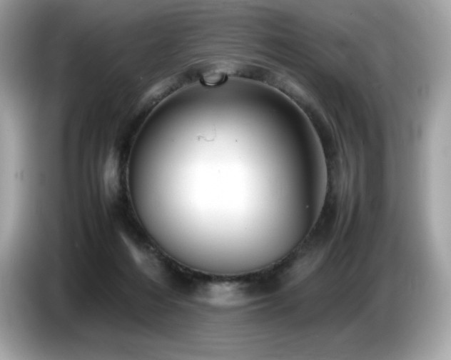 X0000087050216200704181244