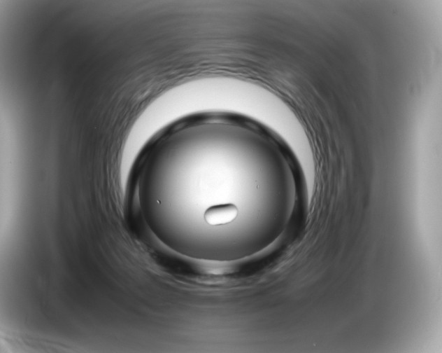 X0000087050219200704181244