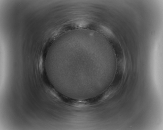 X0000087050222200704181244