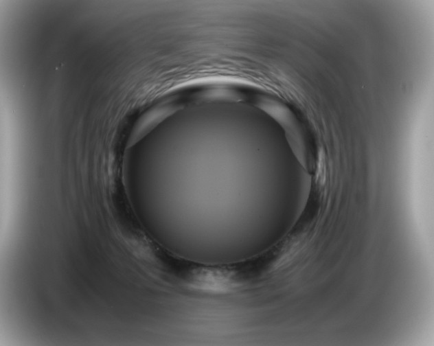 X0000087050223200704181244