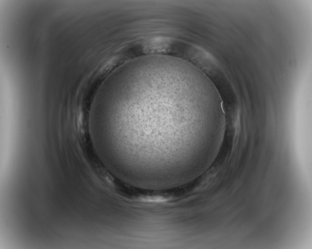 X0000087050224200704181244