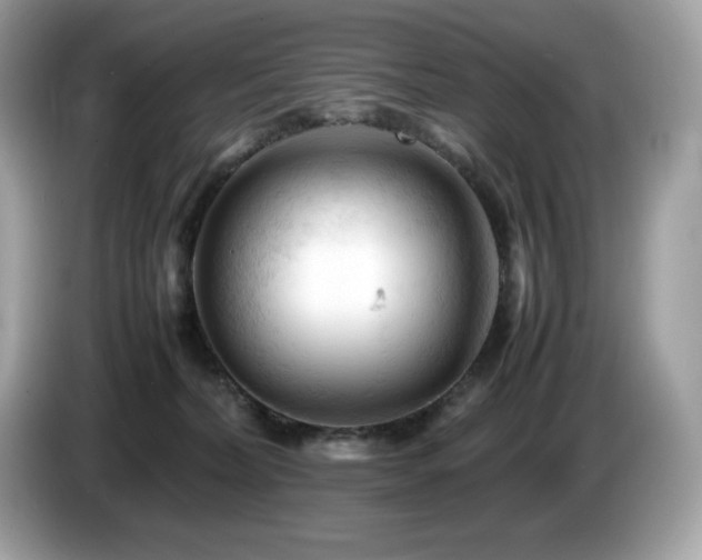 X0000087050228200704181244