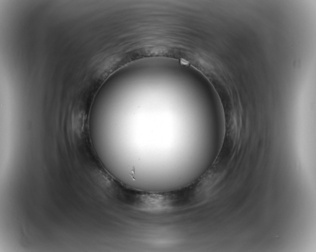 X0000087050230200704181244