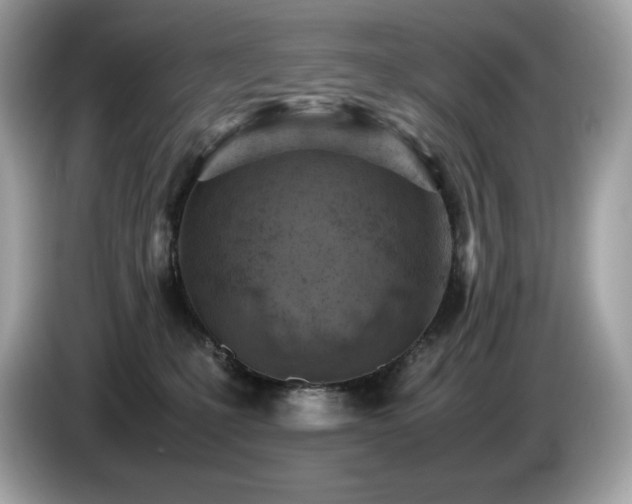 X0000087050231200704181244