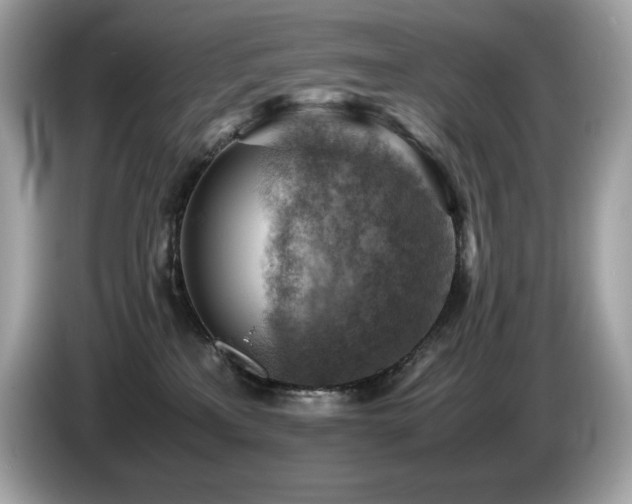 X0000087050233200704181244