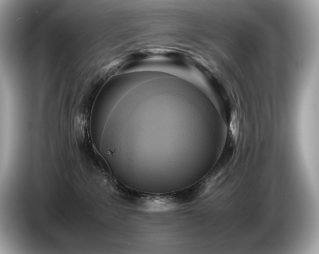 X0000087050235200704181244