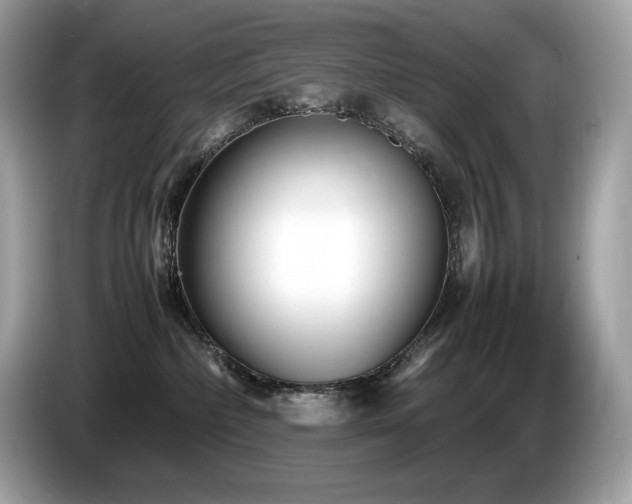 X0000087050236200704181244