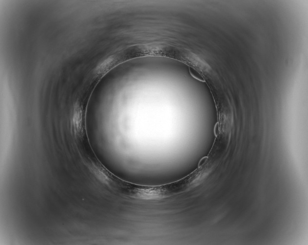 X0000087050238200704181244