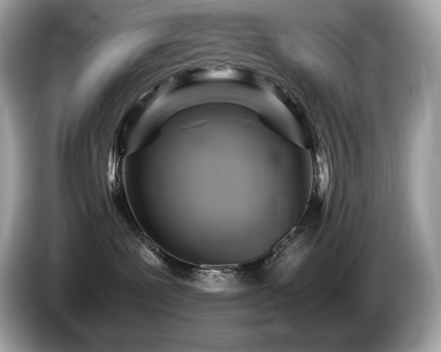 X0000087050239200704181244
