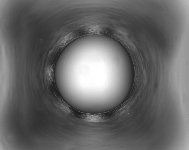 X0000087050240200704181244