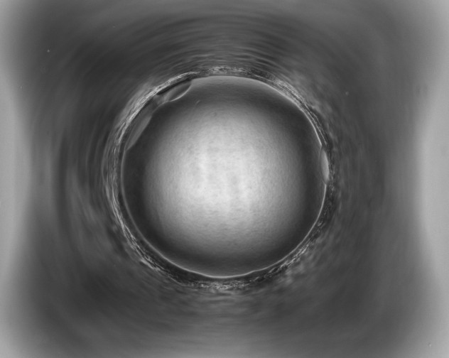 X0000087050241200704181243