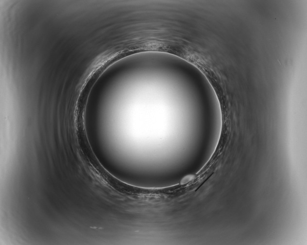 X0000087050242200704181243
