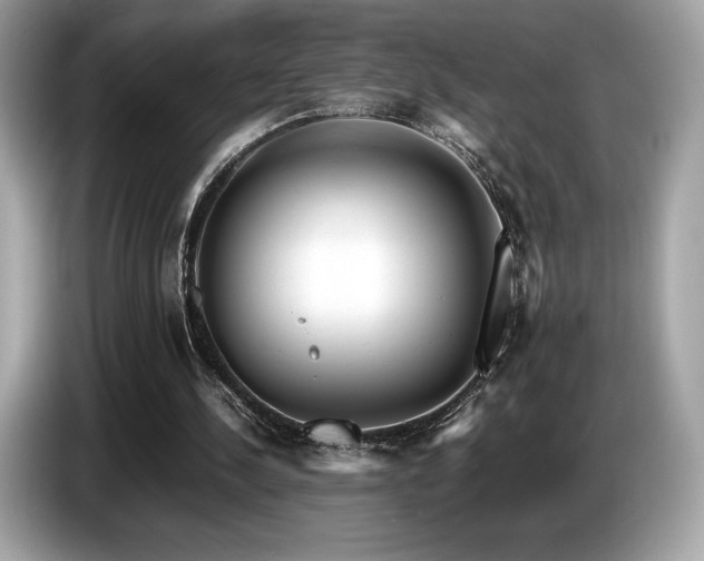 X0000087050244200704181243