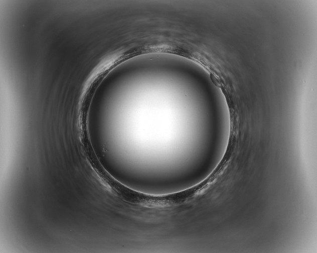 X0000087050245200704181243