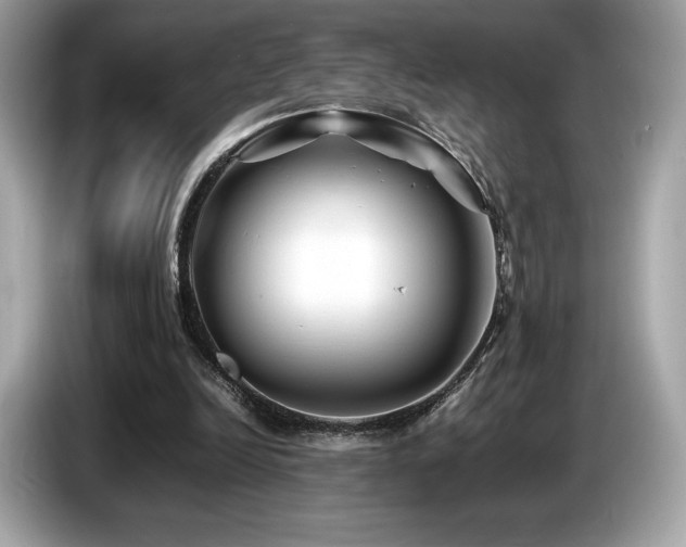 X0000087050246200704181243