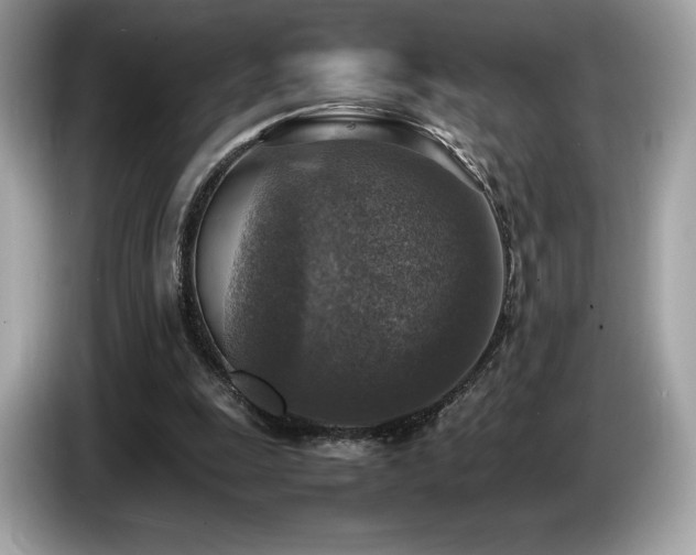 X0000087050247200704181243
