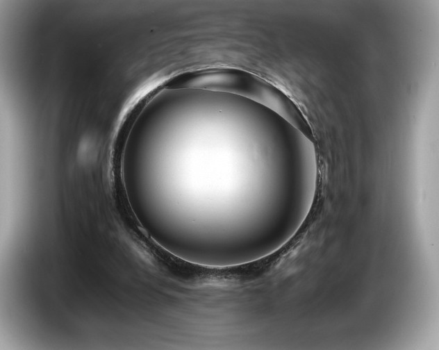 X0000087050248200704181243