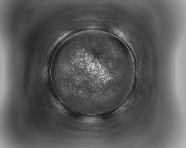 X0000087050249200704181243