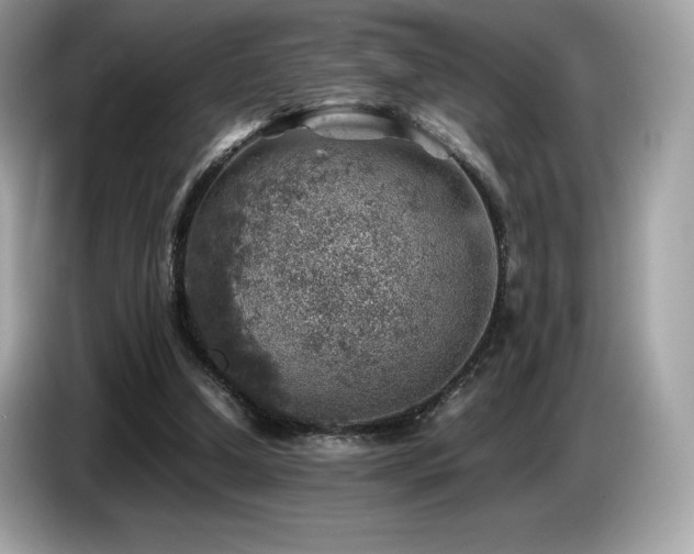 X0000087050250200704181243