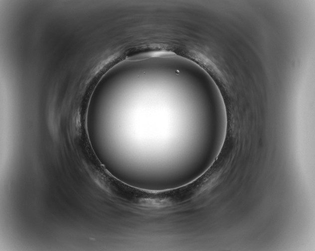 X0000087050251200704181243