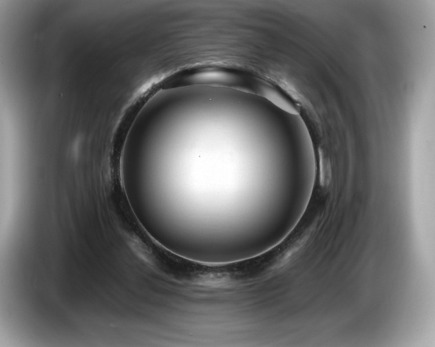 X0000087050252200704181243