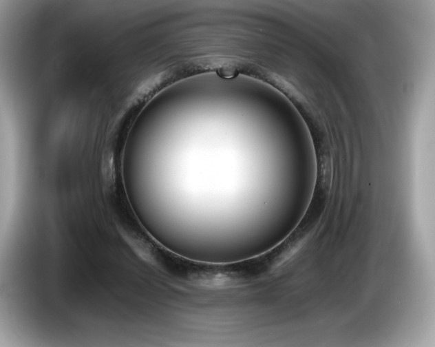 X0000087050254200704181243