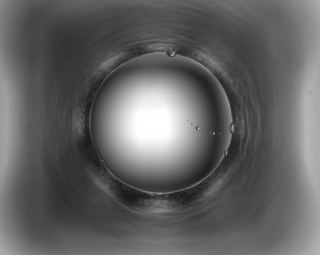 X0000087050255200704181243