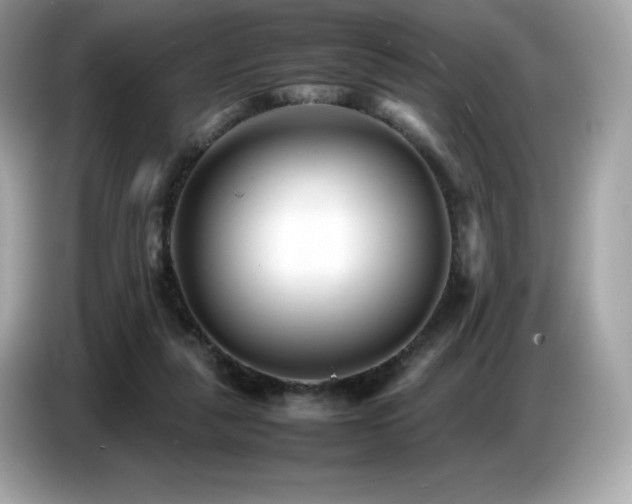 X0000087050259200704181243