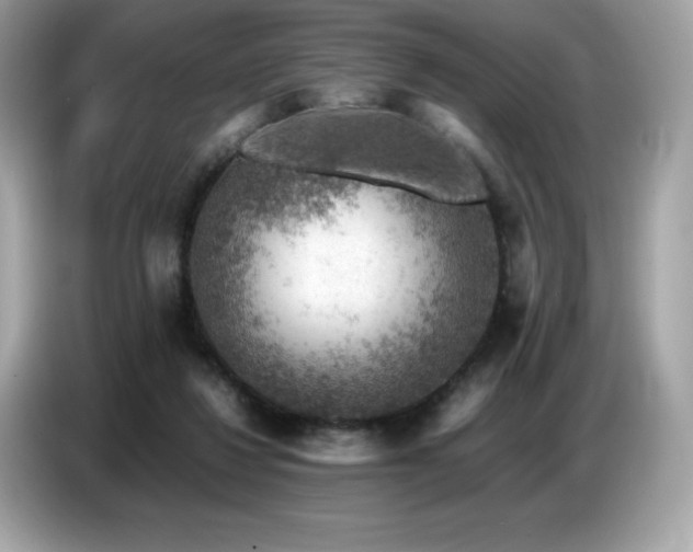 X0000087050260200704181243