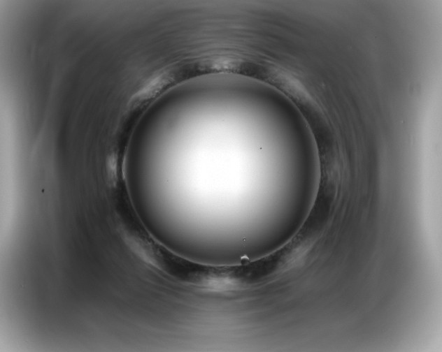 X0000087050262200704181243