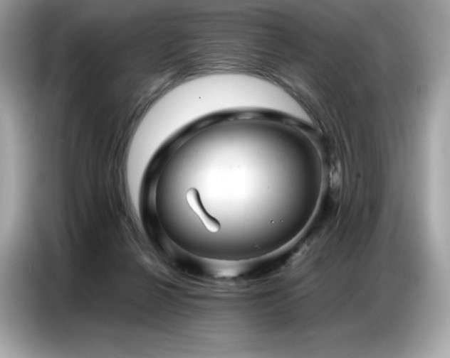 X0000087050264200704181243
