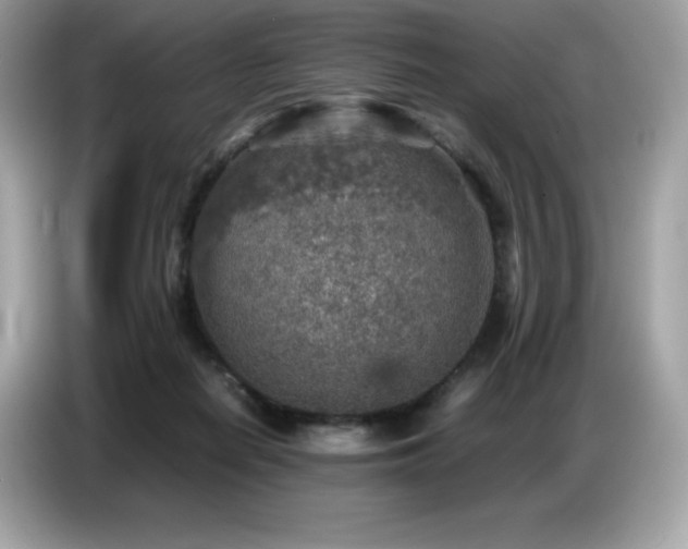 X0000087050266200704181243