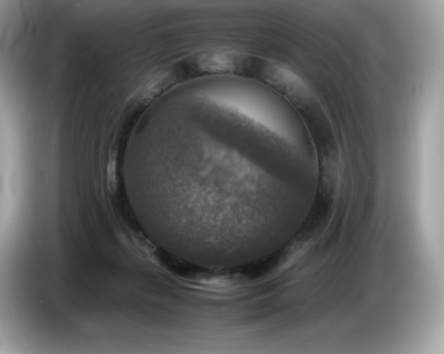 X0000087050267200704181243