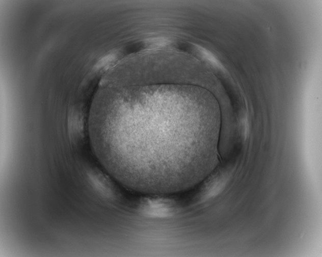 X0000087050268200704181243