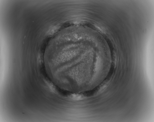X0000087050272200704181243