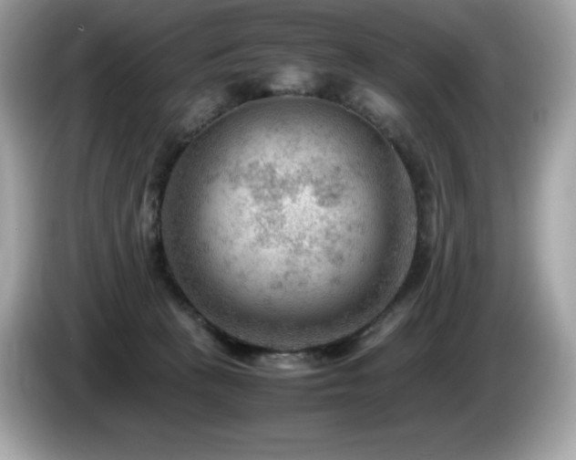 X0000087050273200704181243