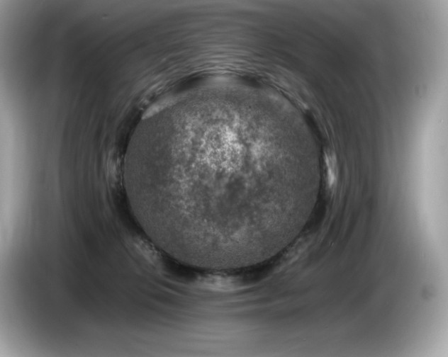 X0000087050276200704181243