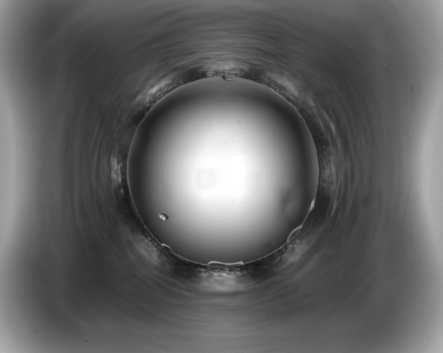 X0000087050282200704181243