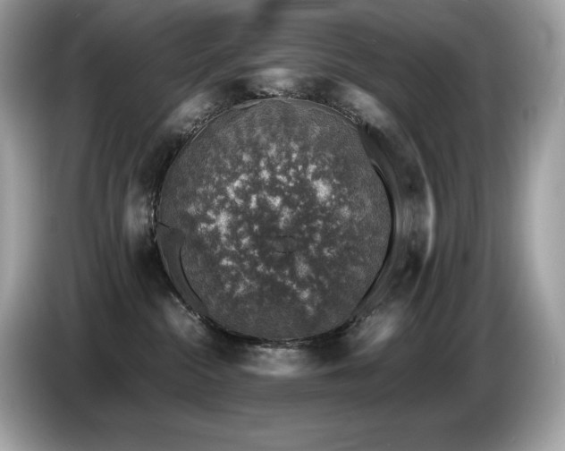 X0000087050284200704181243