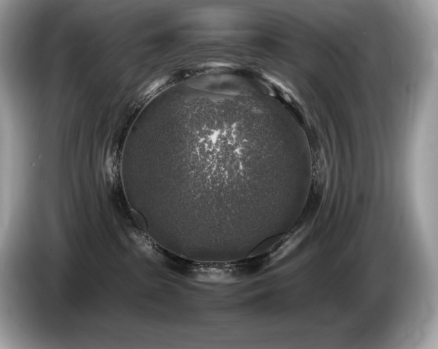 X0000087050285200704181243