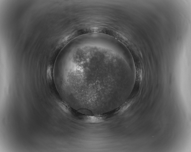 X0000087050286200704181243